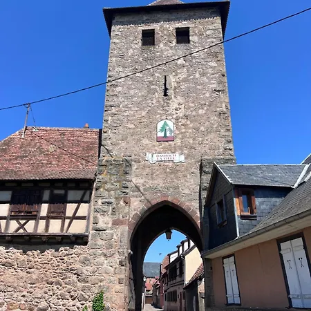 Charme Et Confort Au Coeur Des Remparts - Duplex Apartment Dambach-la-Ville